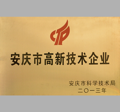 安庆市高新技术企业-中力安